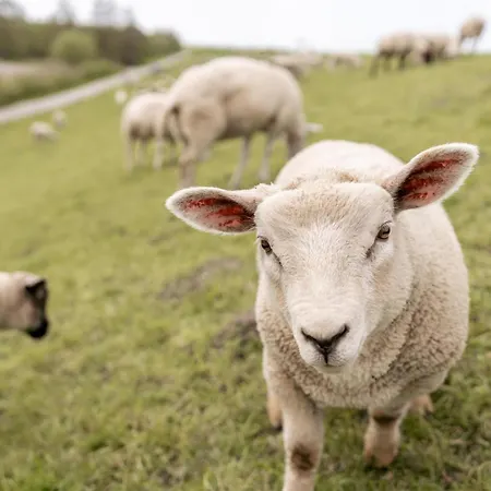 Apartment Graftblick Am 48 0 S *