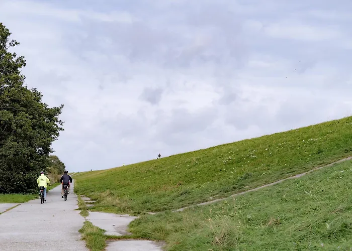 Graftblick Am 48 0 S Daire *