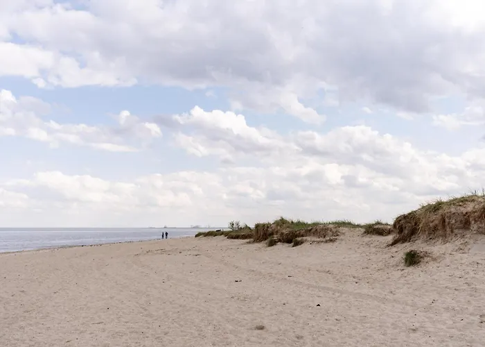 Graftblick Am 48 0 S Daire Schillig