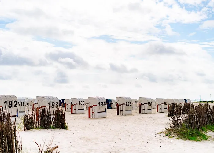 Daire Graftblick Am 48 0 S Schillig