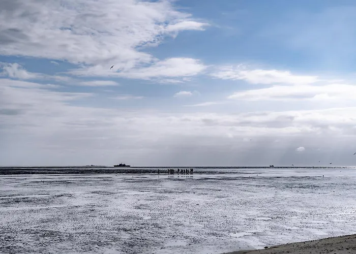 Graftblick Am 48 0 S Daire *