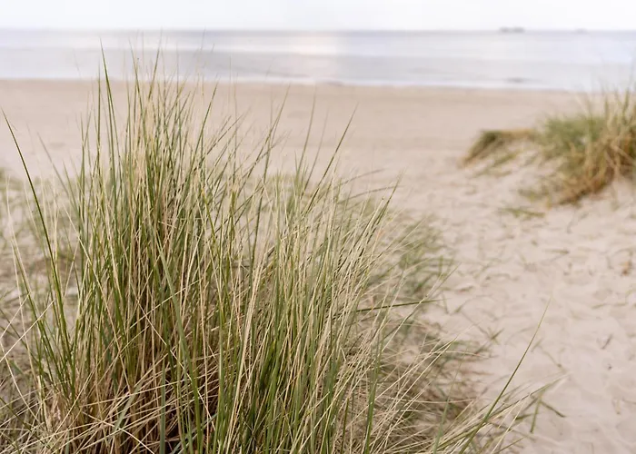 Graftblick Am 48 0 S Daire Schillig