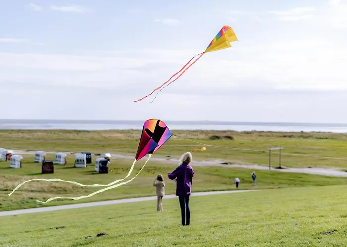 Daire Graftblick Am 48 0 S Schillig